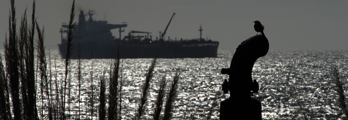 Bird perched with a ship in the background